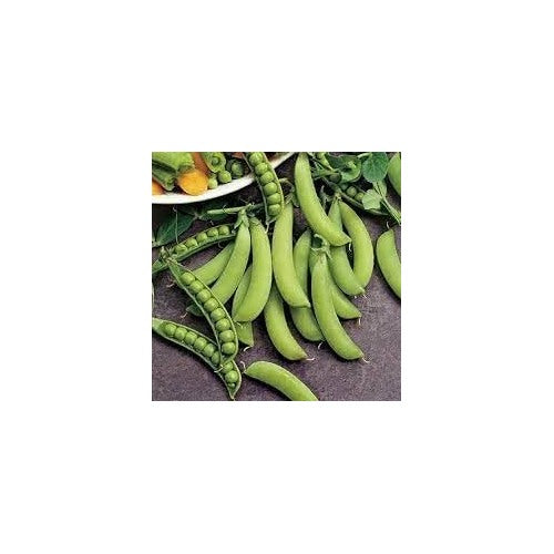 Snap Pea Vegetable Seeds for Planting [neera-v5-948529cea42b98a4f2b1]