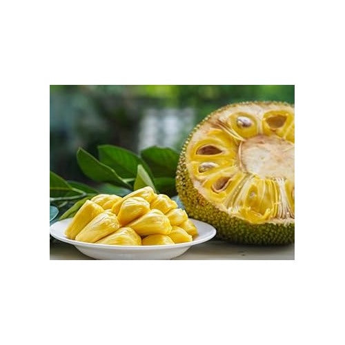 Tomatillo Seeds for Authentic Mexican Cuisine Gardens [neera-v5-95d2b14d0e5ce6f1241f]