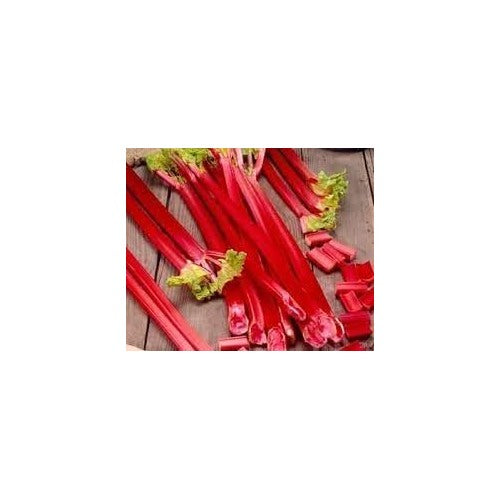 Rhubarbe Rouge Vegetable Seeds for Planting [neera-v5-95e416de499c2fb77d7b]