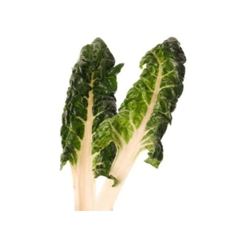 Green White Chard Seeds for Planting [neera-v5-95f378bc52cf5540ff56]