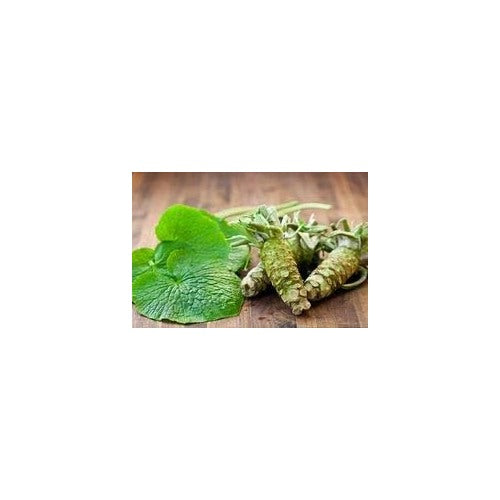 Heirloom Wasabi Seeds [neera-v5-95fb70a34c0c82a5ba62]