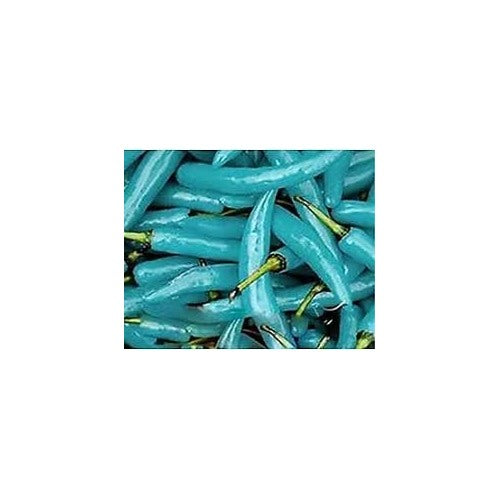 Heirloom Non-GMO Turquoise Ornamental Pepper Seeds for Home Garden Planting [neera-v5-95fbc68c6fcbd4020f0a]