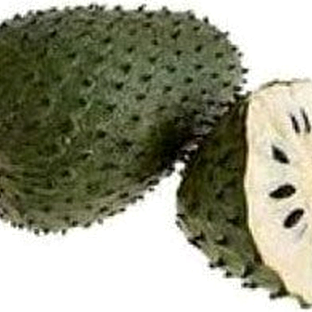 Heirloom Mixed Soursop Fruit Seeds for Planting [neera-v5-9655f6583d5bf8b4ed0c]