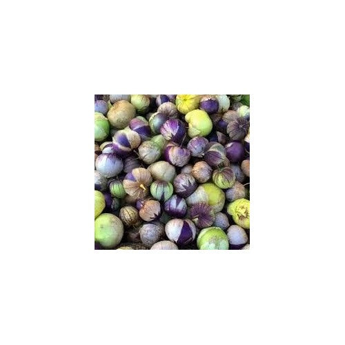 Heirloom Milpero Purple Tomatillo Vegetable Seeds [neera-v5-9786c24957c6c4ebea02]