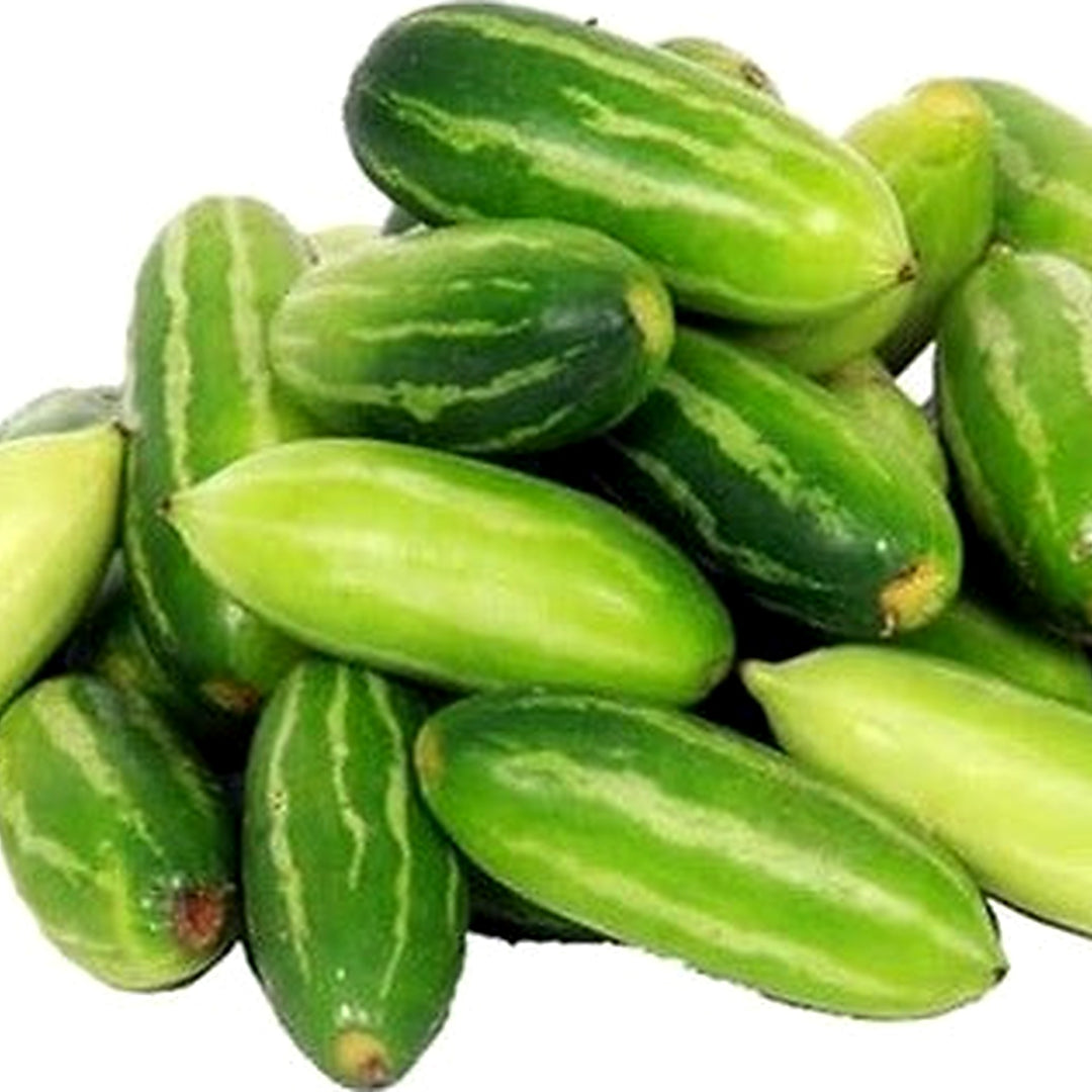 Ivy Gourd Seeds for Planting [neera-v5-97c1c39a8a9fd9769c47]