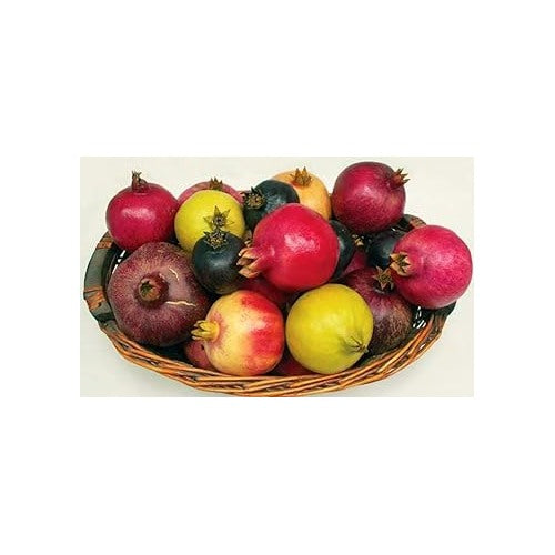 Mixed Pomegranate Fruit Seeds for Planting [neera-v5-999a9368e7bd94e9164d]