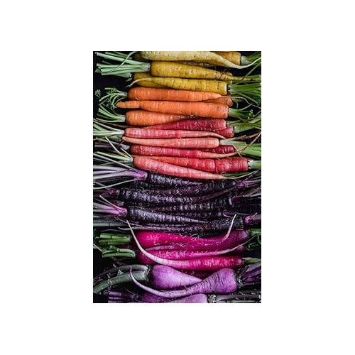 Mixed Carrot Seeds for Planting [neera-v5-9a231024e3d1540a124c]