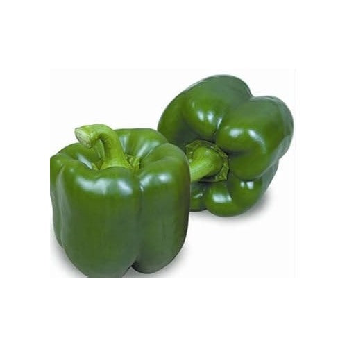 Dark Green Pepper Seeds for Planting [neera-v5-9a8734115339ca8b3ab4]