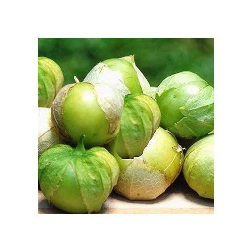 Green Tomatillo Seeds for Planting [neera-v5-9b7cc49c1105b46a737a]