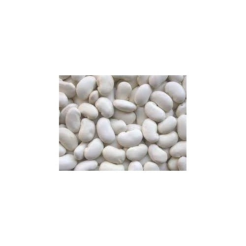 White Mogettes Beans Vegetable Seeds for Planting [neera-v5-9bb0f000fa94bcc4b3bf]