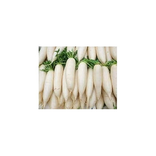 Radish Vegetable Seeds for Planting | Heirloom, Non-GMO, High Germination Organic Garden Seeds [neera-v5-9bd962a0f10bf1e43296]