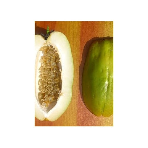 Giant Passiflora Granadilla Fruit Seeds for Planting [neera-v5-9c05f3d6377db2d57a95]