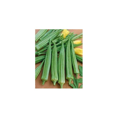 Cajun Delight Okra Seeds for Planting [neera-v5-9c147ffa2be0dcca1676]