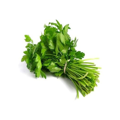 Green Coriander Vegetable Seeds for Planting [neera-v5-9c5609d2af43176071ac]