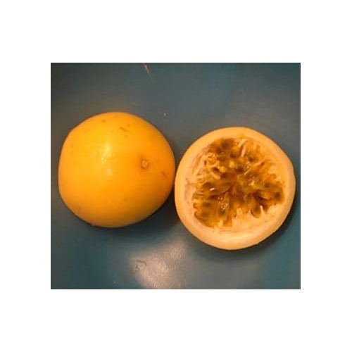 Orange Passion Fruit Seeds for Planting [neera-v5-9c66c1a6a6d305caea67]