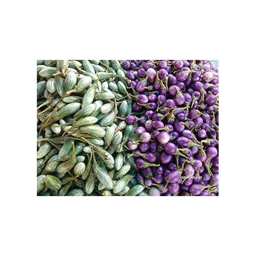 Purple Green Eggplant Seeds for Planting [neera-v5-9d188408708187d4c2ef]