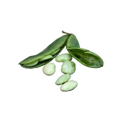Green Lima Bean Vegetable Seeds for Planting [neera-v5-9d93bbc4464f6256c6a7]