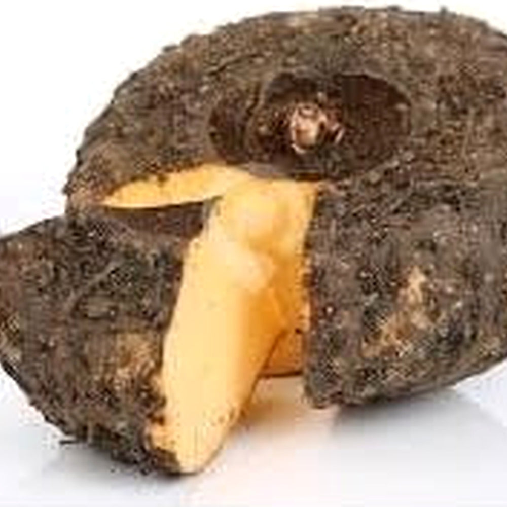Elephant Foot Yam Plant Seeds for Planting [neera-v5-9dc0ef109cd40a8ef858]