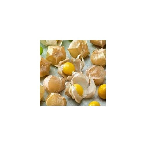 Heirloom Non-GMO Tomatillo Vegetable Seeds for Home Garden Planting [neera-v5-9dfb0bc311cd71d00cec]