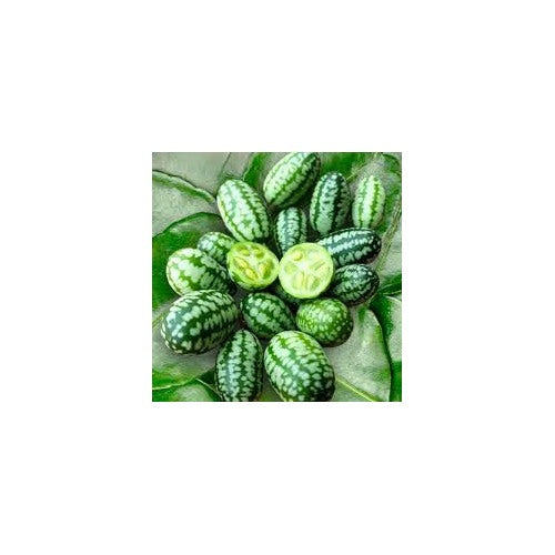 Cucamelon Fruit Seeds for Planting [neera-v5-9e54a7233758f3909477]