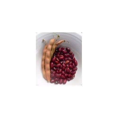 Red Bean Seeds for Planting [neera-v5-9f0aa1d3805272743182]