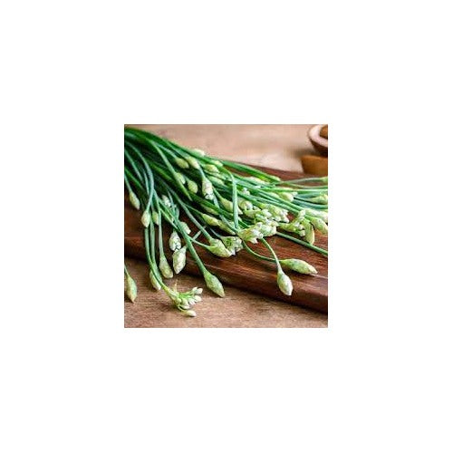 Garlic Chives Herb Seeds for Planting [neera-v5-9f83eb72d99b5144366e]
