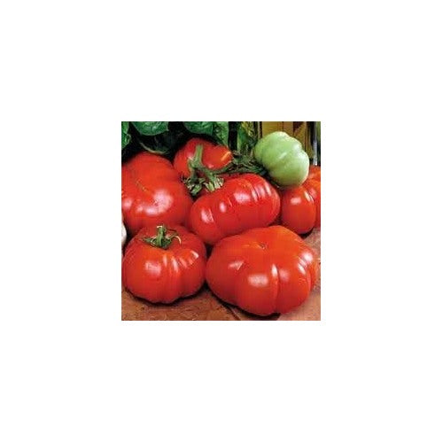 Tomato Vegetable Seeds for Planting [neera-v5-9fb208a25bb33f9a3f0b]