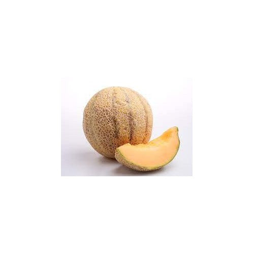 Galia Melon Seeds for Planting [neera-v5-a01b8dc078dc33ca9c72]