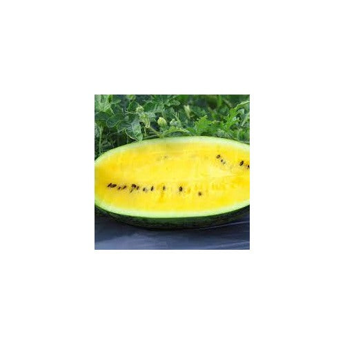 Yellow Crimson Watermelon Fruit Seeds [neera-v5-a029c4dd684e226a545f]