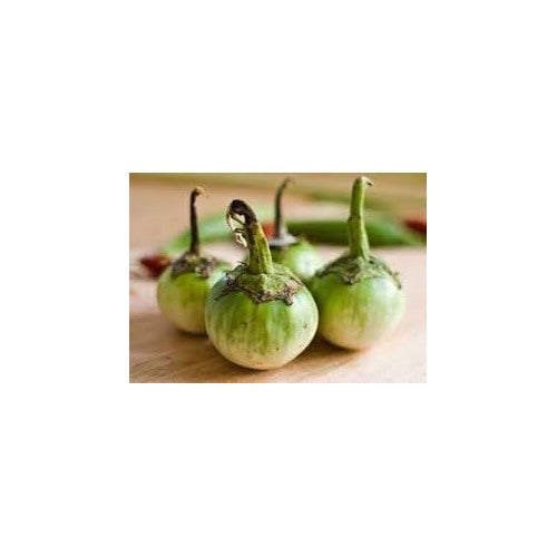 Aubergine Seeds for Planting [neera-v5-a032f3bb9e58b6c45f55]
