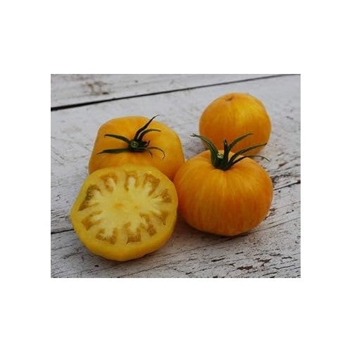 Yellow Tomato Seeds for Planting [neera-v5-a168fd12b8fc4c0e8965]