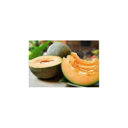 Yubari Melon Seeds for Planting [neera-v5-a176fb37349d4d60af3c]