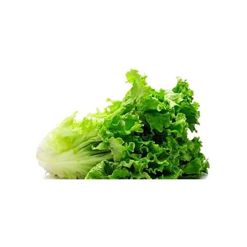 Lettuce Vegetable Seeds for Planting | Heirloom, Non-GMO, High Germination Organic Garden Seeds [neera-v5-a1d1ec910697d9f774c0]