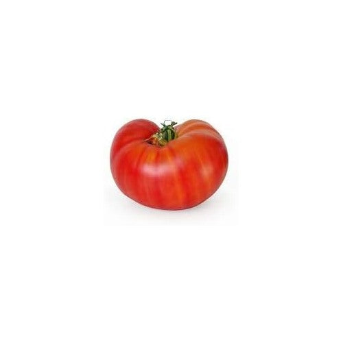 Big Red Tomato Seeds for Planting [neera-v5-a1dba3a11acef92d81f3]