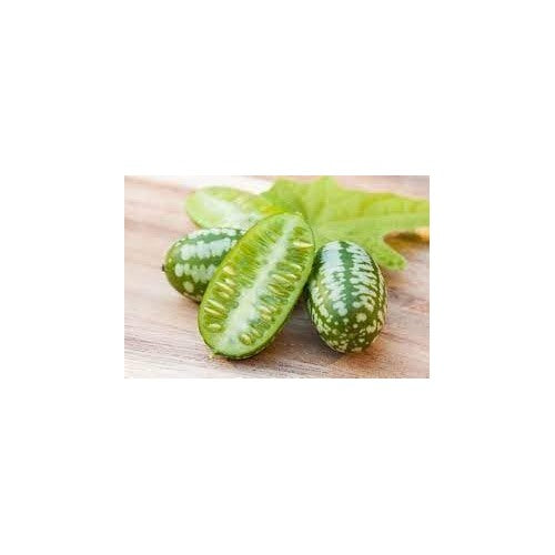 Cucamelon Vegetable Seeds for Planting [neera-v5-a2ae76b8df27a1c5f7f8]