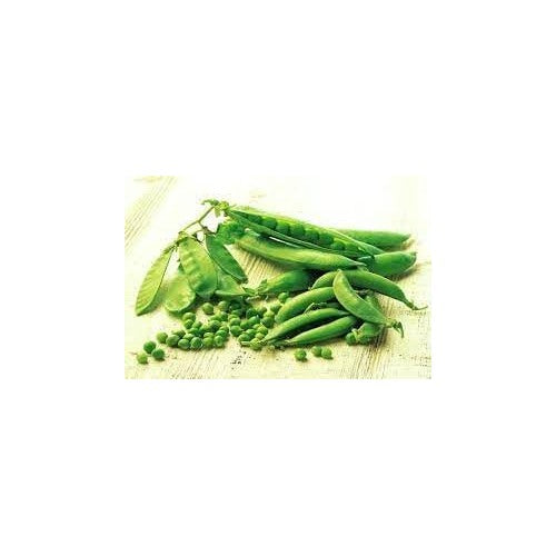 Pea Vegetable Seeds for Planting | Heirloom Non-GMO Organic Garden Seeds [neera-v5-a2b6ab9260207816a905]