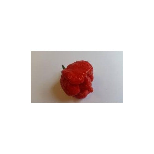 Butch T Scorpion Pepper Seeds for Planting [neera-v5-a3cf3580f477f9de7932]
