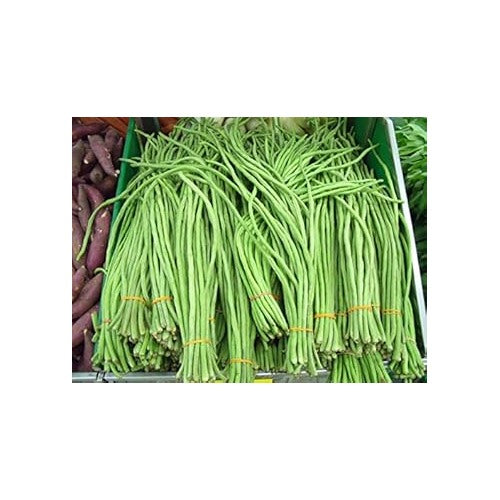 Green Bean Seeds [neera-v5-a4b5f4a9fbceb3e26c42]