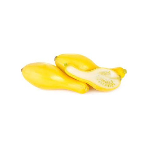 Crookneck Yellow Squash Vegetable Seeds for Planting [neera-v5-a4fdbce42c051c9ed9dc]