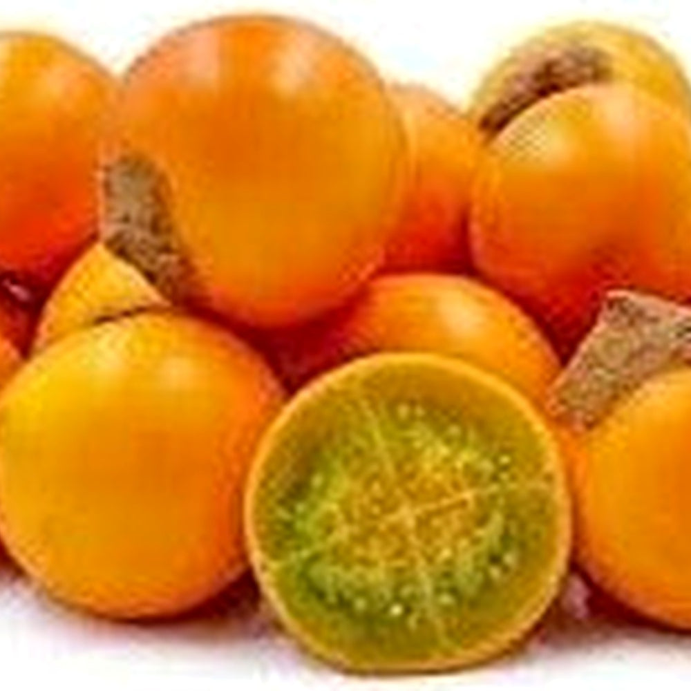 Solanum Quitoense Seeds [neera-v5-a5cae59680db564c28ae]
