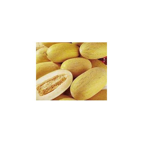 Hami Melon Fruit Seed Collection for Planting | Heirloom Non-GMO Organic Garden Seeds for Sweet Melons [neera-v5-a5d36ce6f9bc422c476d]