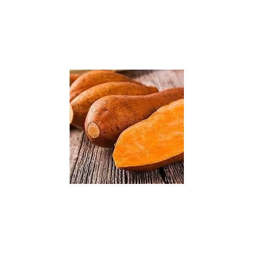 Orange Yellow Sweet Potato Seeds for Planting [neera-v5-a6c3e6e4c2abba330f6d]