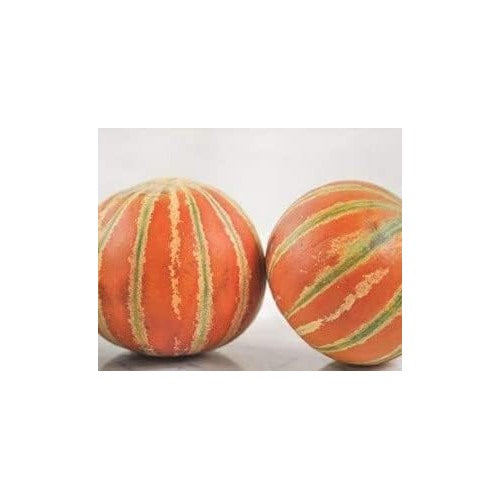 Red and Green HAMI Melon Fruit Seeds [neera-v5-a749d6e48d754663d911]