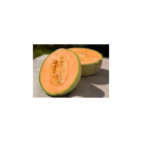 Melon Fruit Seeds for Planting | Heirloom Non-GMO Organic Seeds for Juicy, Flavorful Garden Melons [neera-v5-a7861372f2c282a90c47]