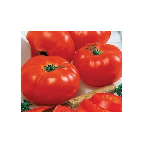 Red Big Huge Tomato Seeds for Planting [neera-v5-a7ae8fcfe3728b046ac6]