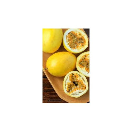 Passion Fruit Seeds [neera-v5-a7ccd8a389202440ed56]