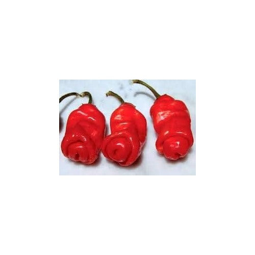 Heirloom Peter Pepper Seeds [neera-v5-a7e62ea9d6b6fa752a7d]
