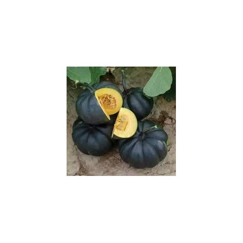 Black Pumpkin Vegetable Seeds for Planting [neera-v5-a90184711769dd07b66e]