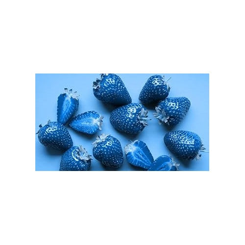 Sky Blue Strawberry Fruit Seeds for Planting [neera-v5-a92c21131d01c7477f4c]