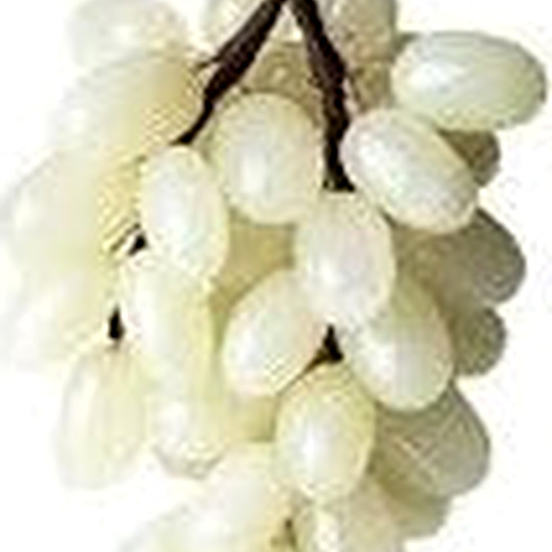 White Grape Fruit Seeds for Planting [neera-v5-a93aa198b64ddcf4d975]